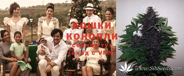 дмт Кулебаки